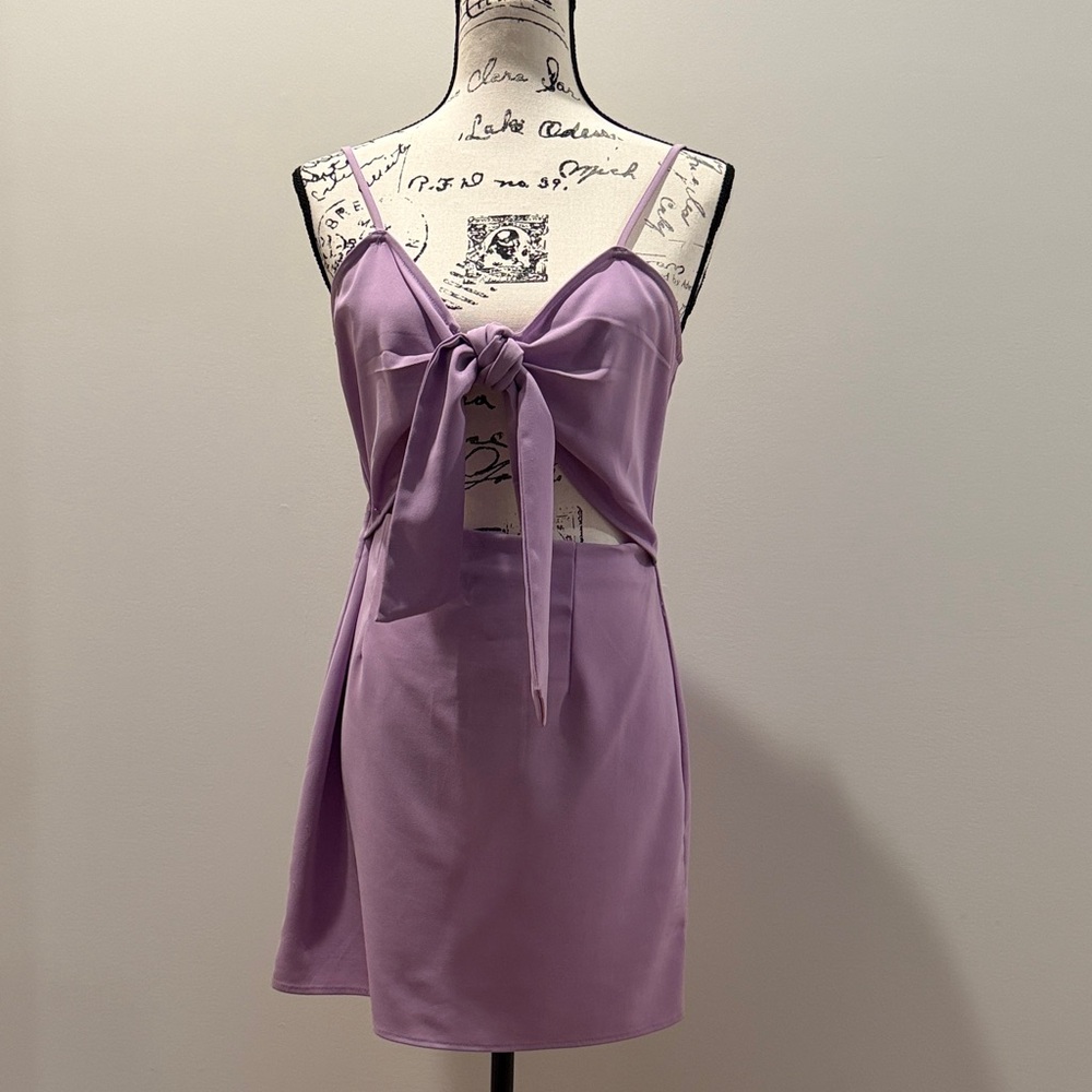 Elegant Lavender Dress
